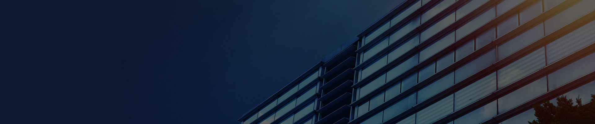 参（控）股公司